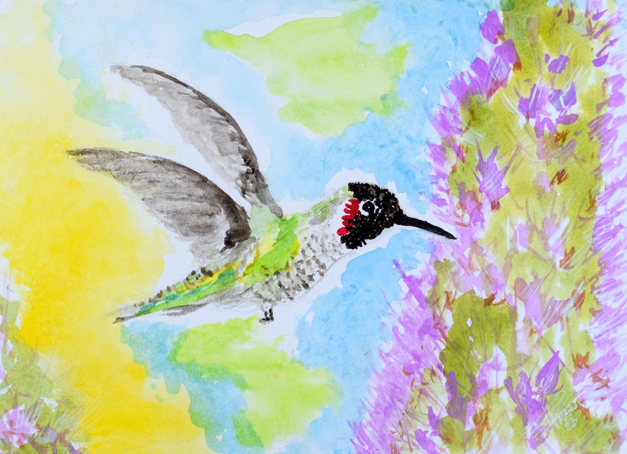 Watercolor painting of a Hummingbird looking for nectar.