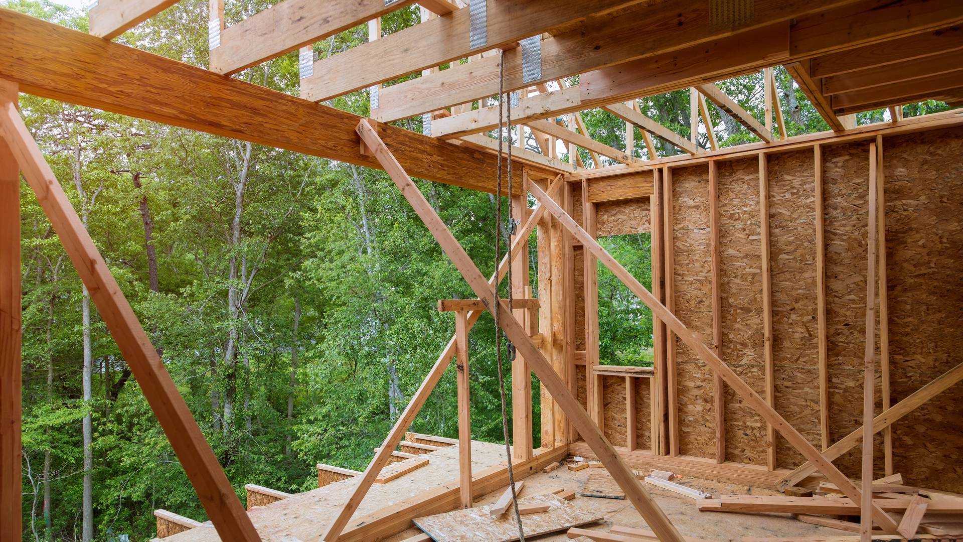 maison en construction, structure en bois, environnement en nature