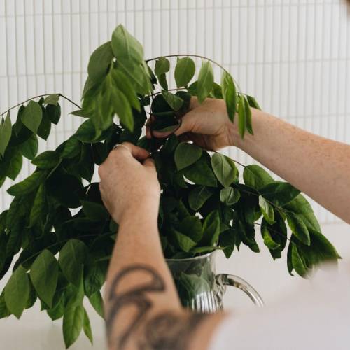 Préparation de décoration intérieure avec des branches vertes dans un vase, guide de rénovation résidentielle.