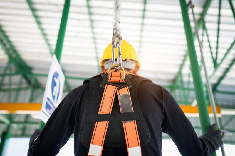 Basic Heights - Harness Training