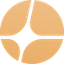 icon of Aster