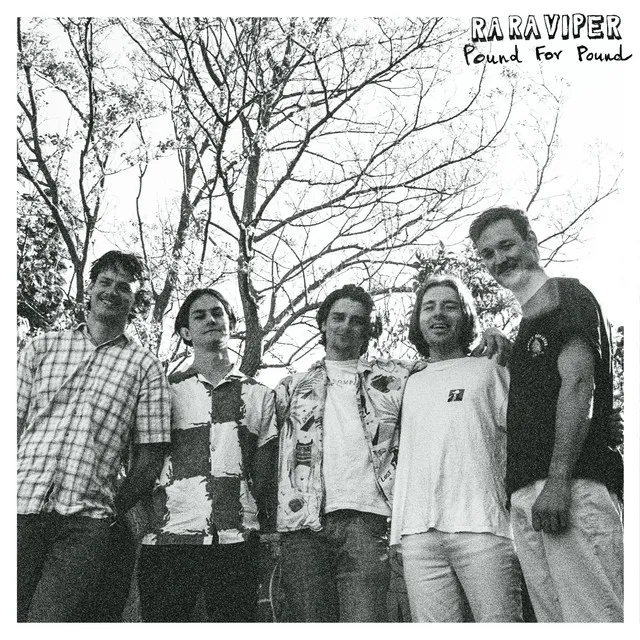 Pound For Pound cover art