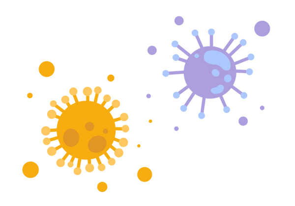 A COVID-19 virus and another coronavirus.