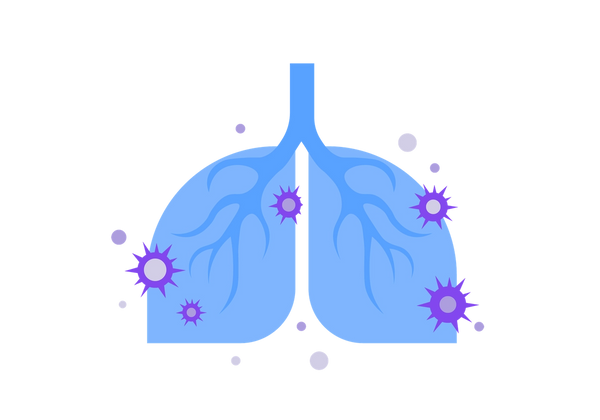 Lunge mit Produktion von Antikörpern.