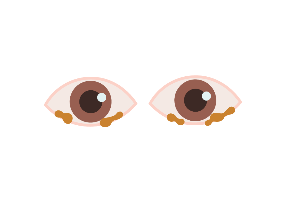 Brown Female Eyes PNG Clipart - Best WEB Clipart