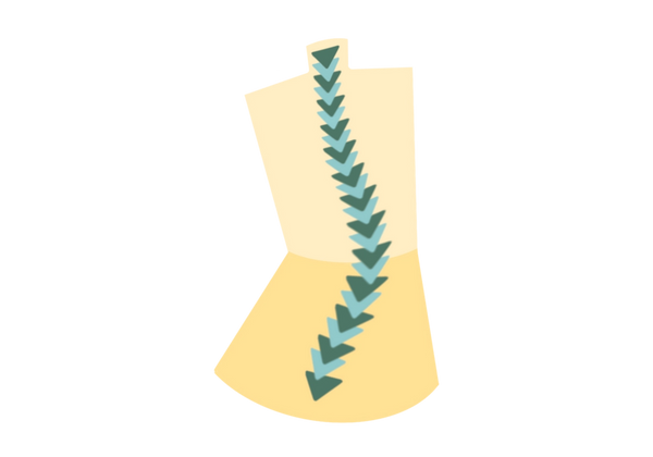 Uma ilustração de uma coluna curvada dentro das costas. A lombada é feita de triângulos invertidos verdes escuros e claros e tem um leve formato de “S”. O dorso é amarelo claro com um amarelo ligeiramente mais escuro abaixo da cintura.