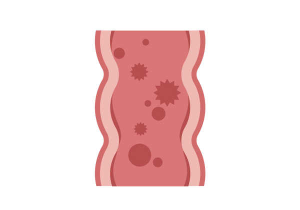 Eine Nahaufnahme einer rosafarbenen, gewellten Röhre. Der äußere Rand ist mittelrosa, der dickere innere Rand ist hellrosa und die Innenseite ist mittelrosa. Im Inneren befinden sich dunkelrosa Flecken.