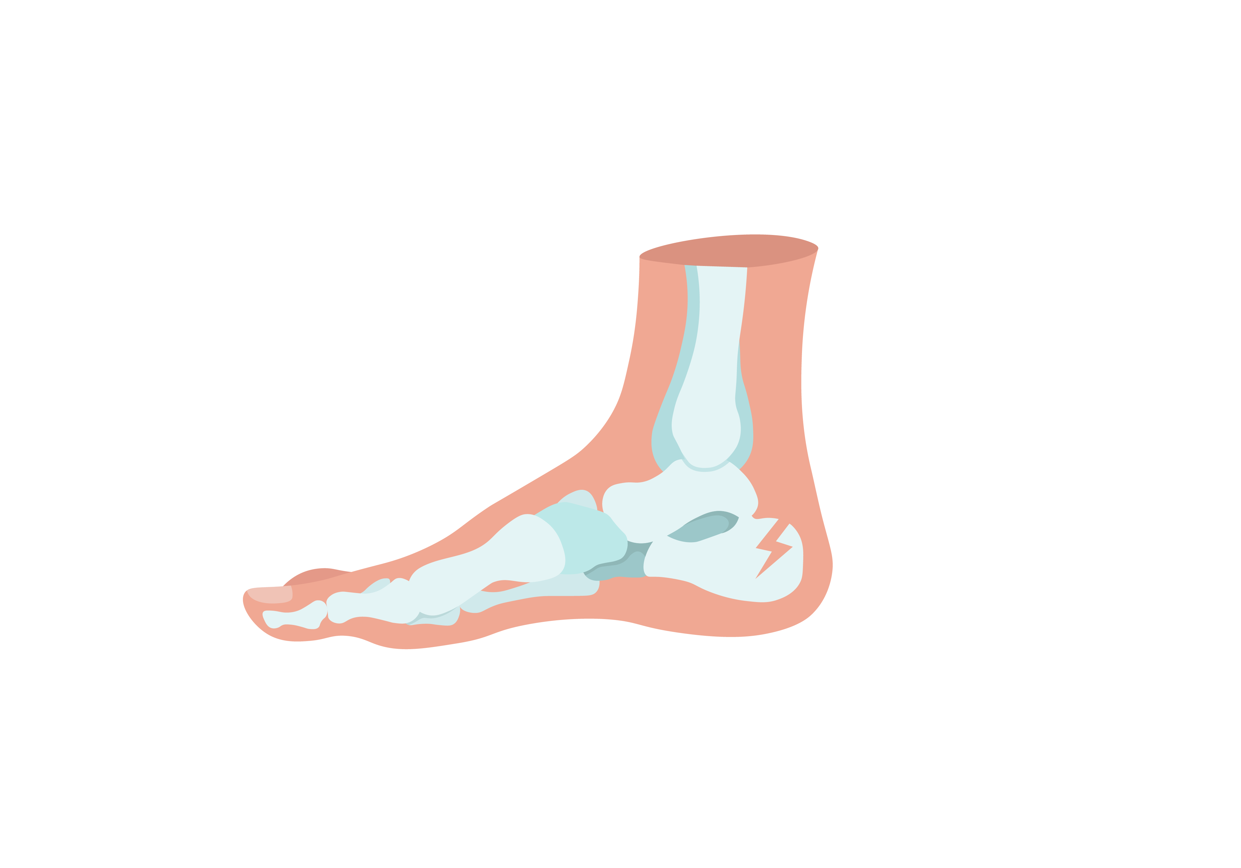 Q & A: How did I get a Stress Fracture in my Foot? | The Physical Therapy  Advisor