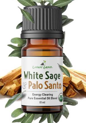  Gya Labs Palo Santo Essential Oil for Diffuser