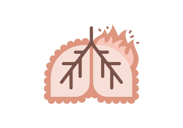 Uma ilustração de um conjunto de pulmões rosa claro. As veias que passam por cada um são marrons e cada pulmão é cercado por nódulos vermelho-escuros uniformes. No canto superior direito dos pulmões, uma chama sobe do pulmão em dois tons de vermelho, e cinco pequenos segmentos de linha saem da chama.