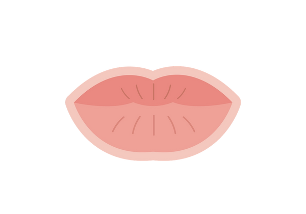 Lèvres fermées avec un contour pâle autour de l'extérieur.
