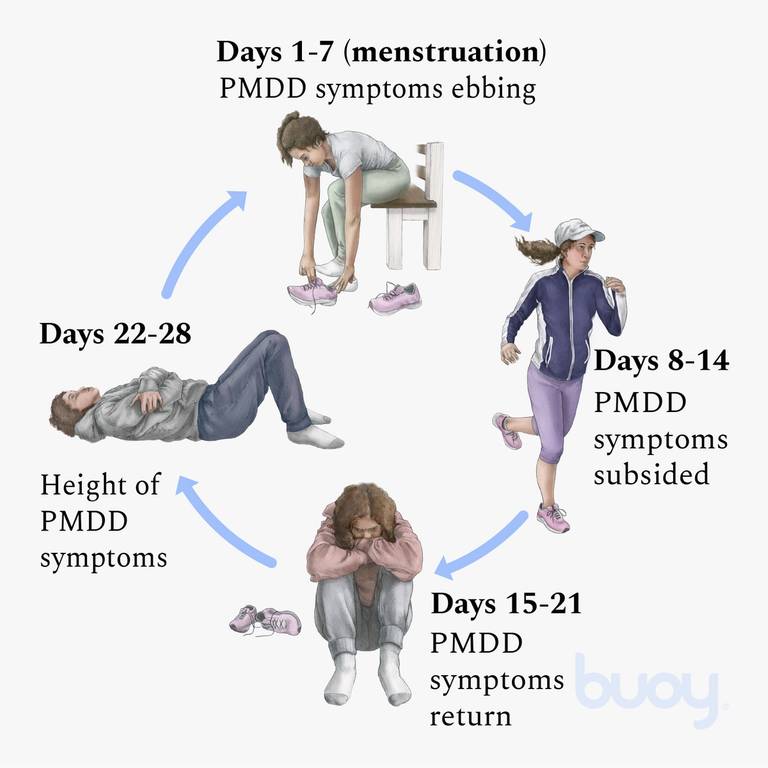 Symptoms Reported by Premenstrual Dysphoric Disorder Sufferers