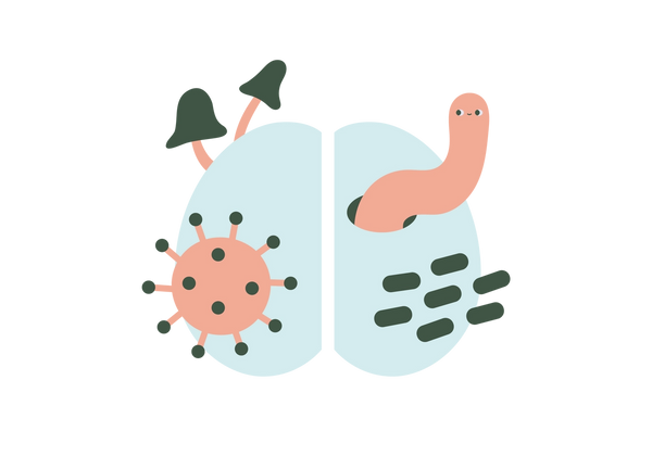 Zwei Hälften eines hellgrünen Gehirns. Über der linken Seite schwebt ein rosa Virus mit grünen Spitzen, der rosa Pilze mit grünen Kappen hervorbringt. Auf der rechten Seite kommt ein rosafarbener Wurm heraus und darüber schweben ebenfalls grüne Kleckse.