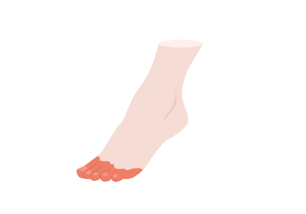 The tip - Space in front of the toes 