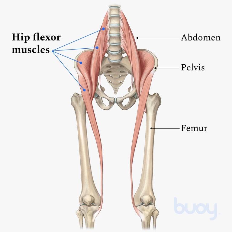 Hip Strain | Symptoms & Treatment for Hip Flexor Strains | Buoy