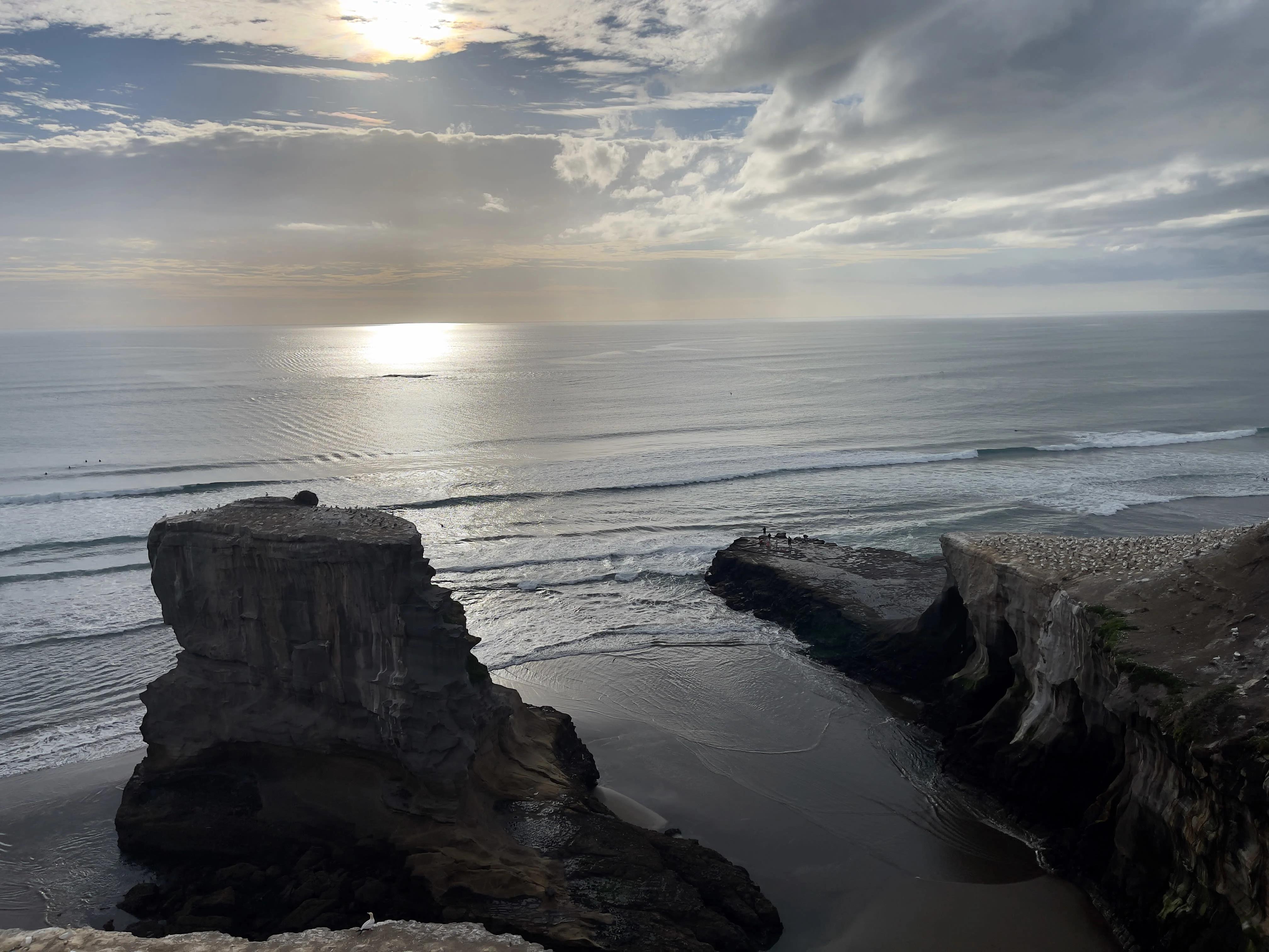 Riding the Wild Beauty of Muriwai Beach: A Horseback Adventure Like No Other