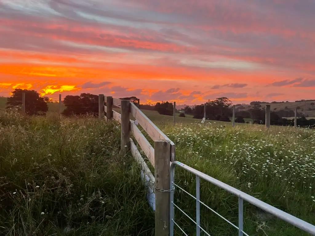 Rhythms of the Land: Finding Joy in Hobby Farm Life