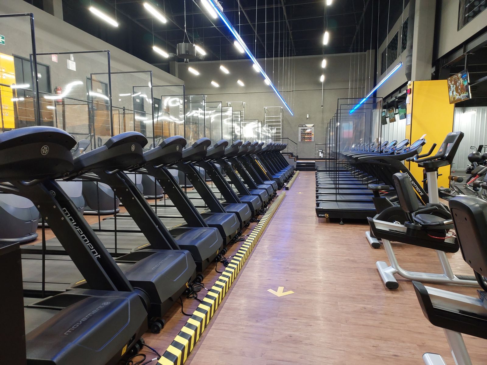 A row of treadmills in a bright, well-lit gym
