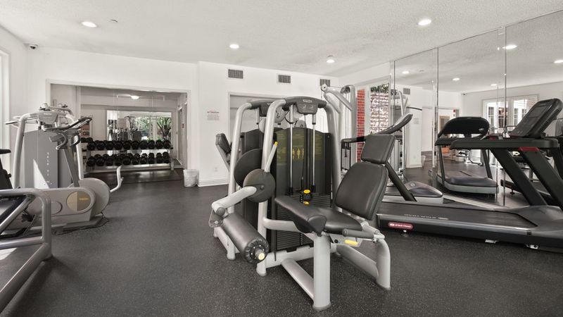 Spacious gym interior with cardio machines and free weights lit by natural light