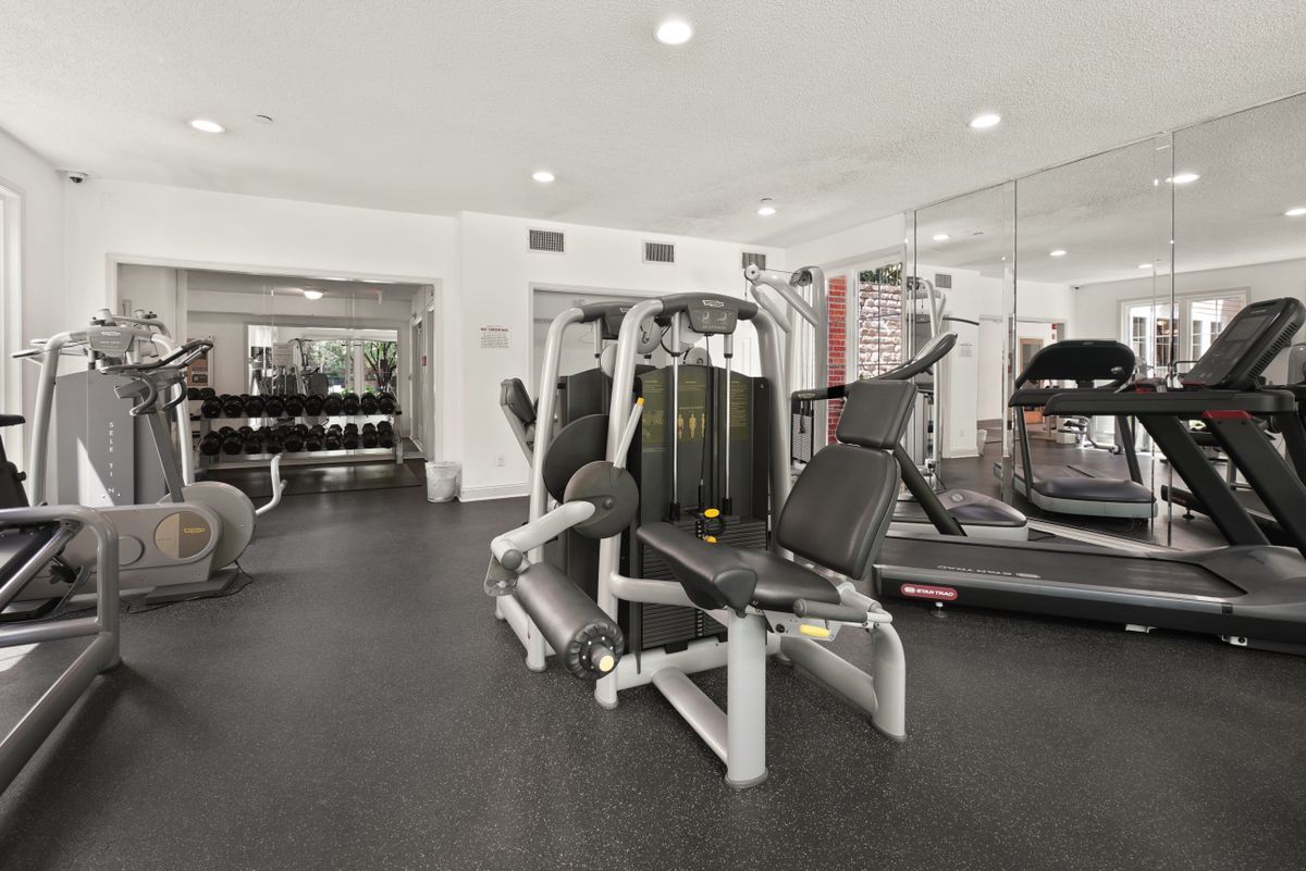 Spacious gym interior with cardio machines and free weights lit by natural light
