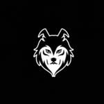 Strength and cardio training floor at Wolfs Fitness Zone in DHA Phase 6