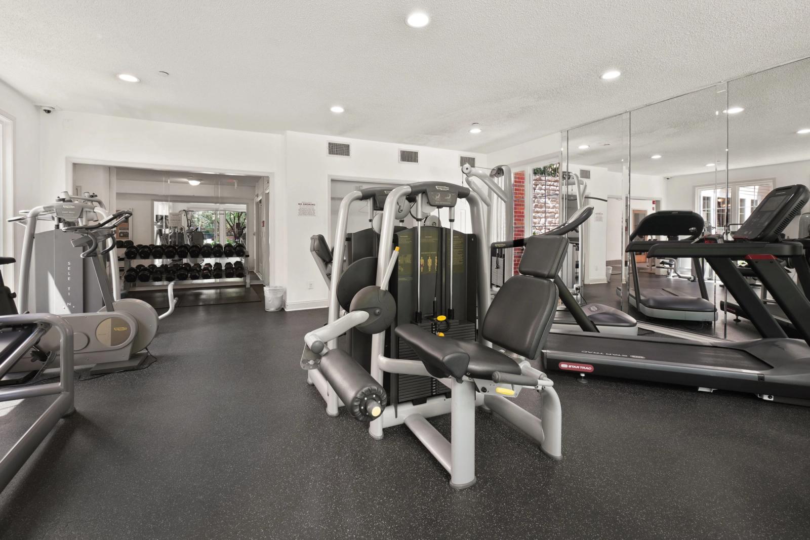 Empty modern gym interior with cardio machines and strength equipment