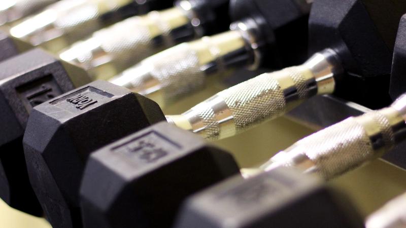 Rows of hex dumbbells on a rack in a modern gym