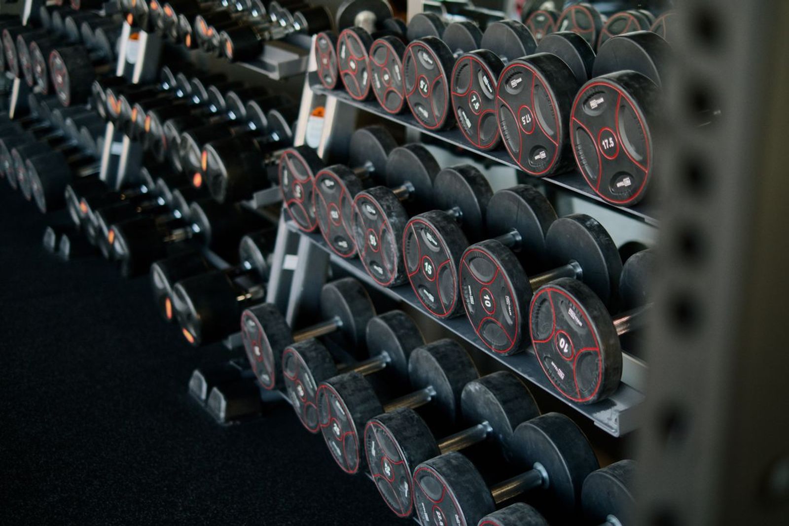 Dumbbells arranged neatly on a rack in a modern gym