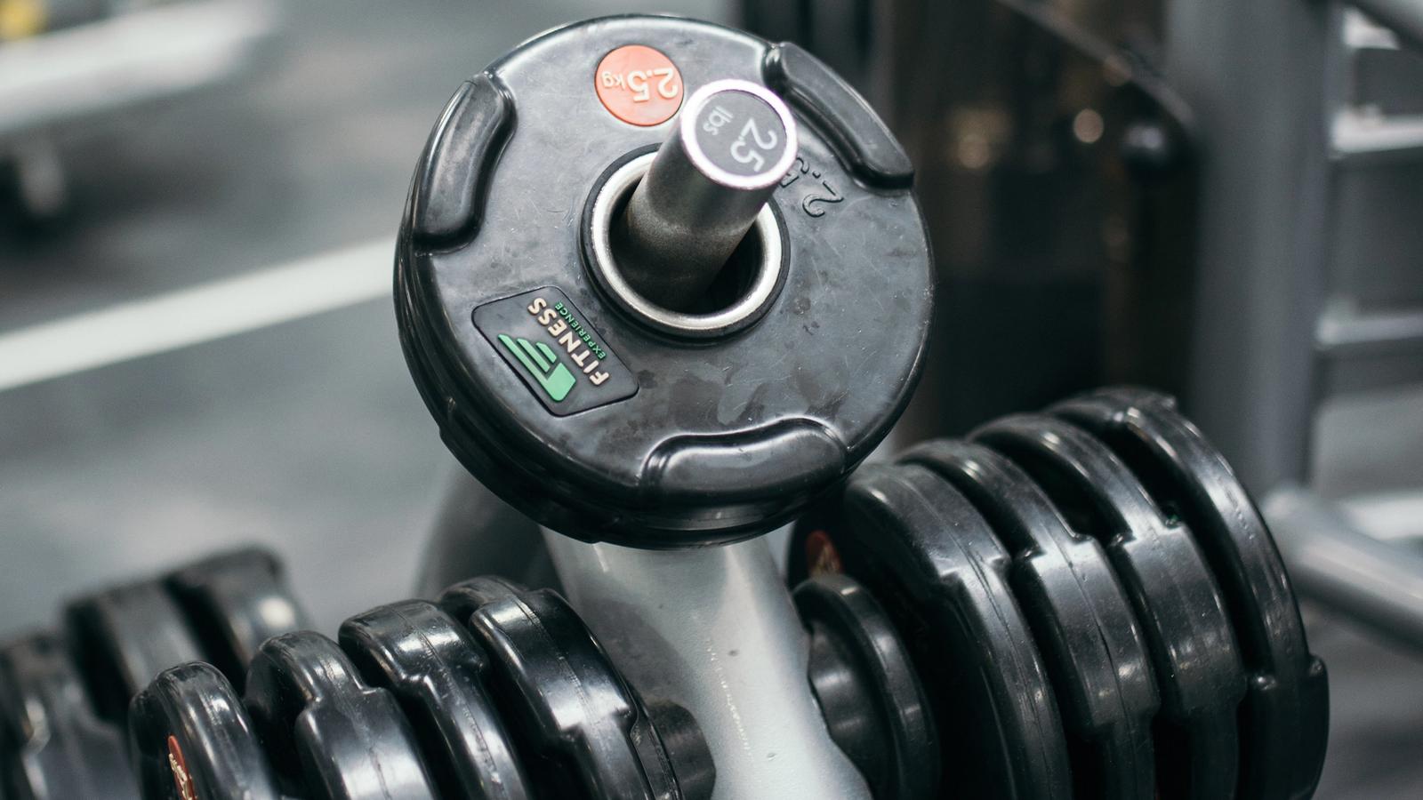 Row of heavy dumbbells on a gym rack in a fitness studio