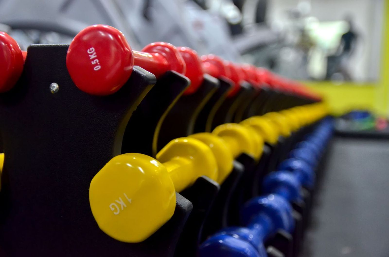 Colour coded light dumbbells arranged on a studio rack