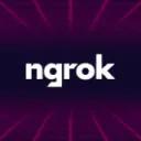 ngrok AI Gateway icon