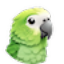 Parakeet AI icon