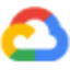 Google Skills icon