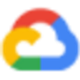Google Skills icon