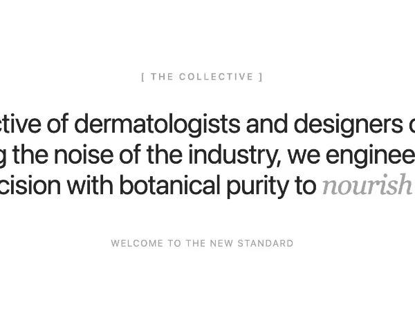 Karaoke-Style Animated Headline Section preview