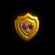 Badge icon