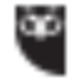 Hootsuite icon