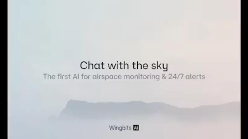 Wingbits AI screenshot