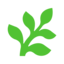 Fern icon