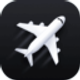 Flighty icon