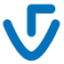 Visage Technologies icon