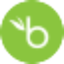 BambooHR icon