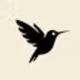 Littlebird icon