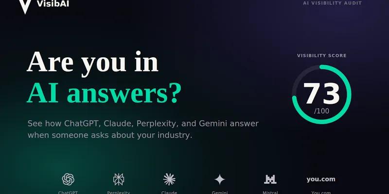 VisibAI screenshot