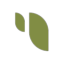 Sesame AI icon