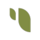 Sesame AI icon