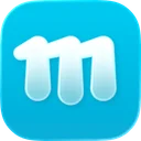 TerminalWidget icon