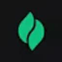Verdent 2.0 icon