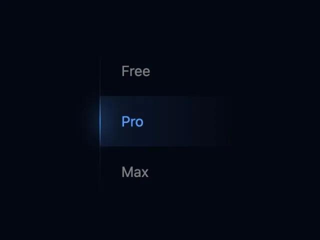 Segmented Radio Selector with Animated Glider preview