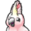 Cockatoo icon